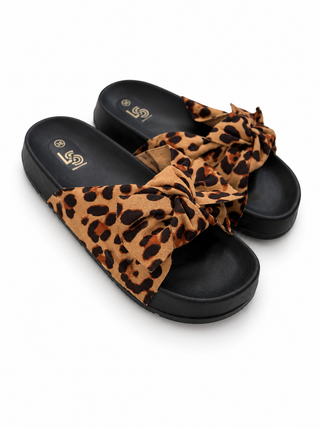 Mulo 2503041-46