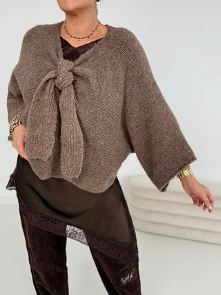 Strickpullover 2510331